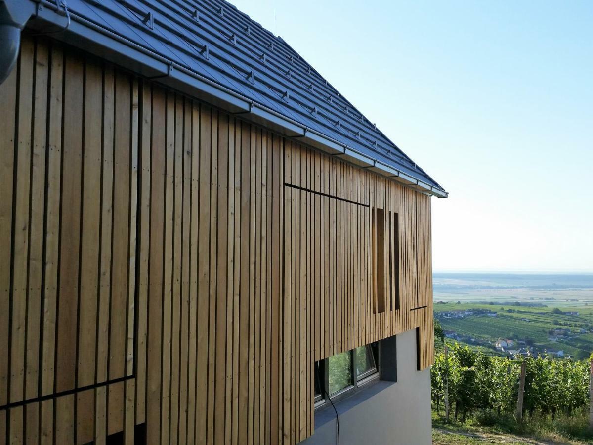 Weinlofts Weinloft II Villa Eisenberg an der Pinka Exterior foto